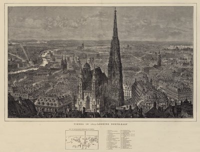 Vienna in 1873, Looking North-East by Henry William Brewer